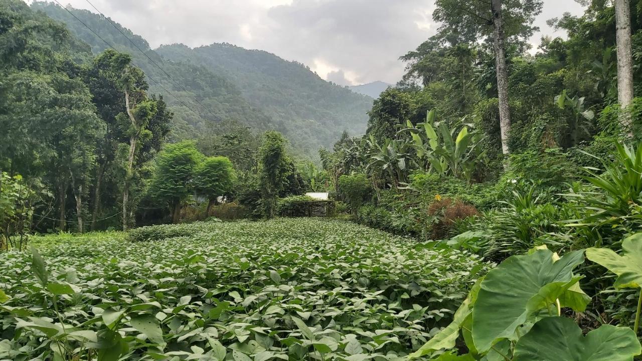 Eviana Homestay ダージリン エクステリア 写真
