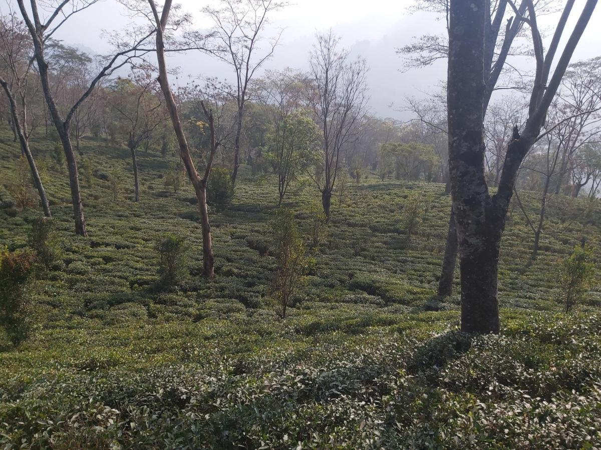 Eviana Homestay ダージリン エクステリア 写真