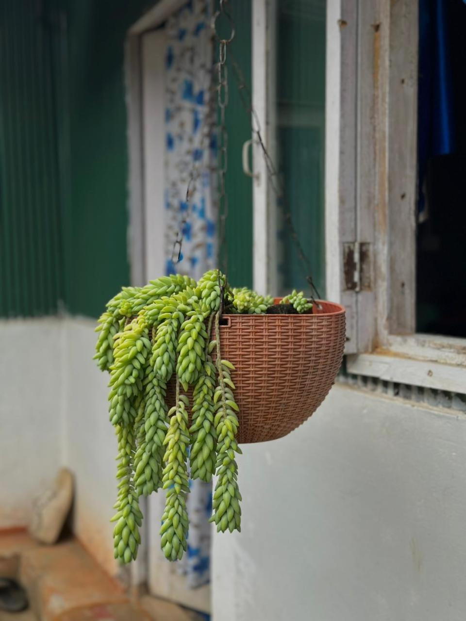 Eviana Homestay ダージリン エクステリア 写真