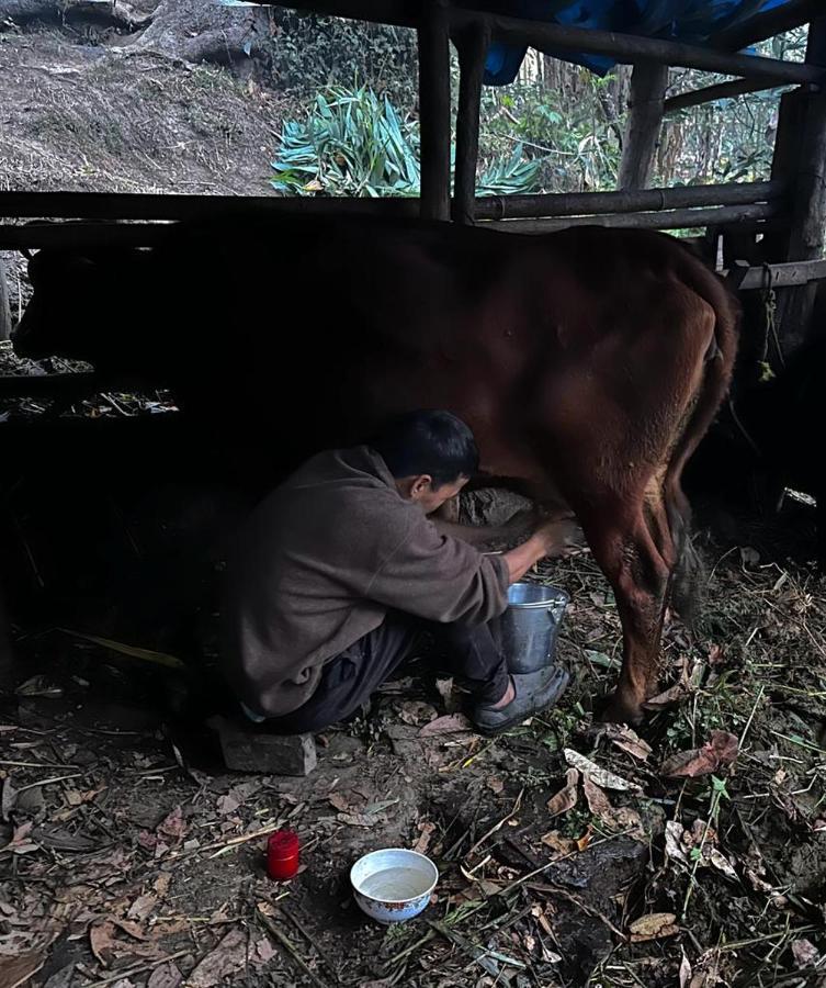 Eviana Homestay ダージリン エクステリア 写真
