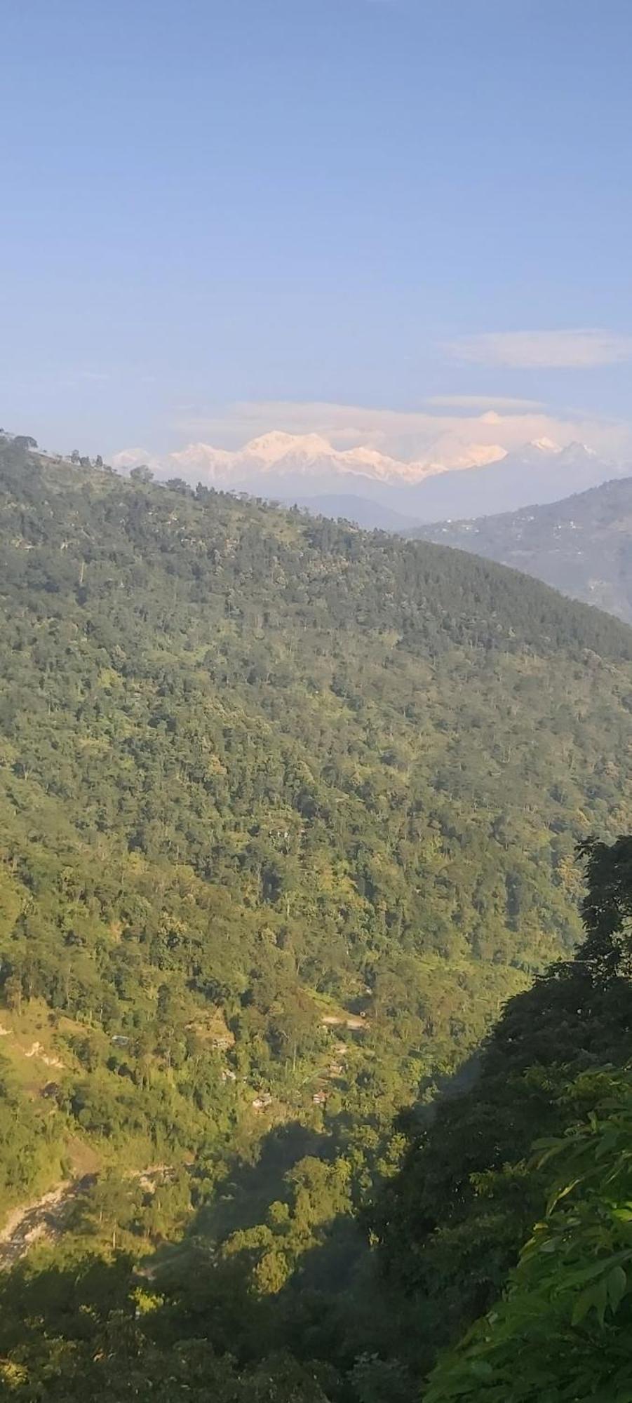 Eviana Homestay ダージリン エクステリア 写真