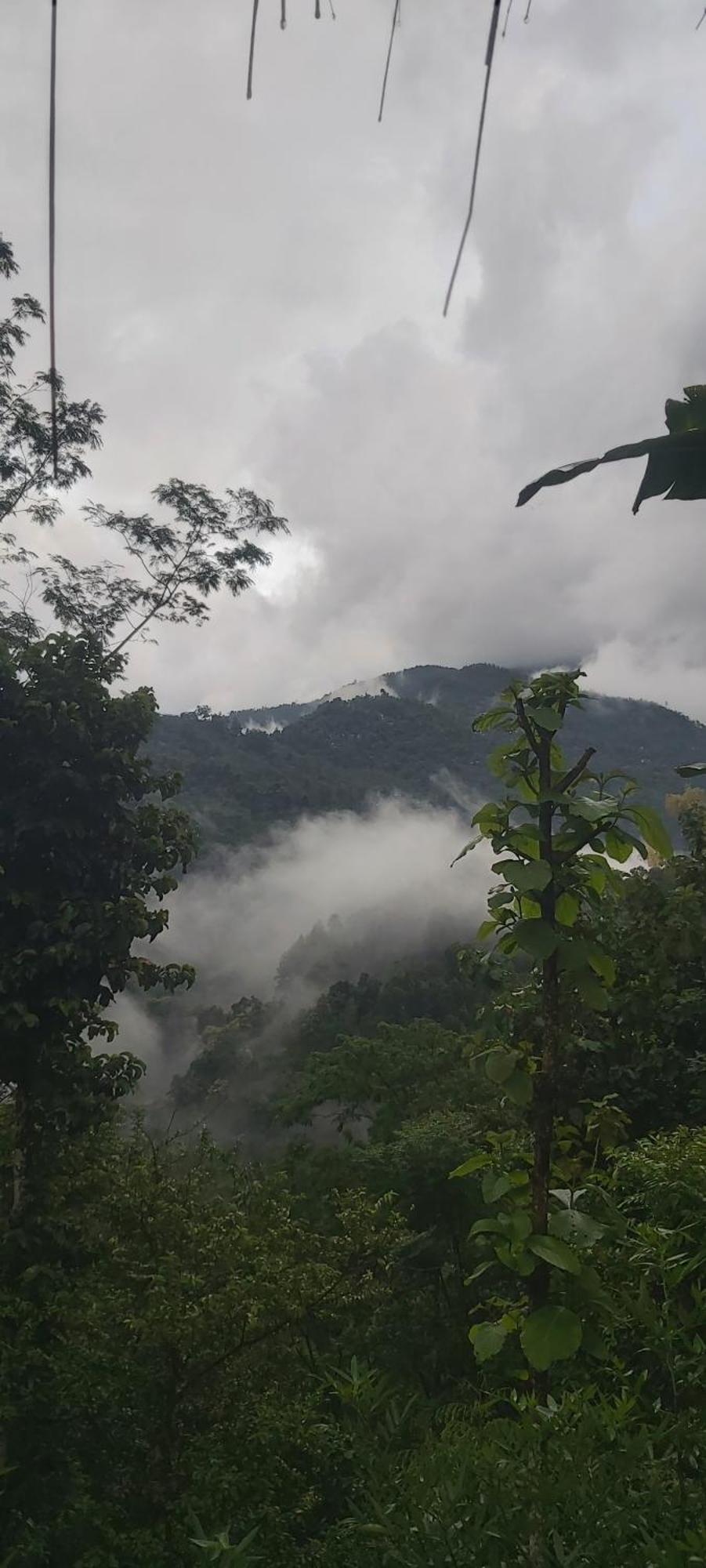 Eviana Homestay ダージリン エクステリア 写真